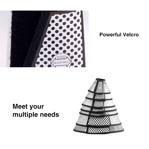 pet-elizabeth-circle1mm3