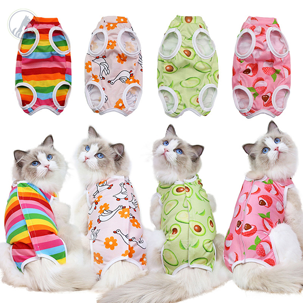 cat-dog-clothes1nn0