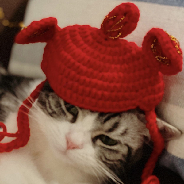 Funny Cat Hat Headwear for Puppy Cat Cartoon Shape Pet Cap-product
